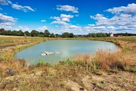 Zobrazit » Revitalizace levobřežného přítoku Úhlavy v k.ú. Skočice u Přeštic