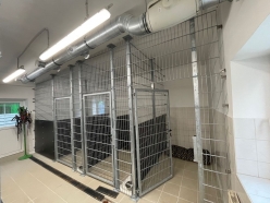 Zobrazit » Rekonstrukce vnitřních kotců v útulku pro psy  v Klatovech